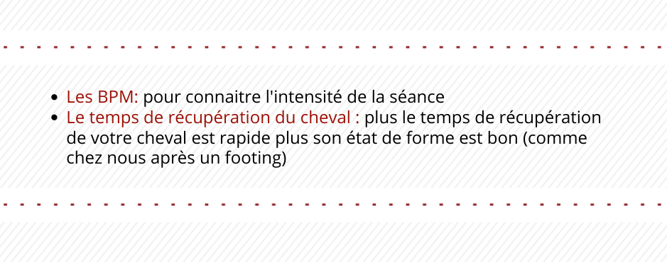 Les BPM et le temps de récupération du cheval