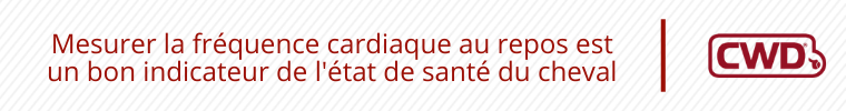 Mesurer la fréquence cardiaque au repos est un bon indicateur de l'état de santé du cheval