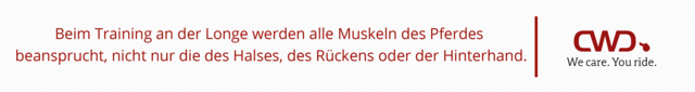 Beim Training an der Longe werden alle Muskeln des Pferdes beansprucht, nicht nur die des Halses, des Rückens oder der Hinterhand.