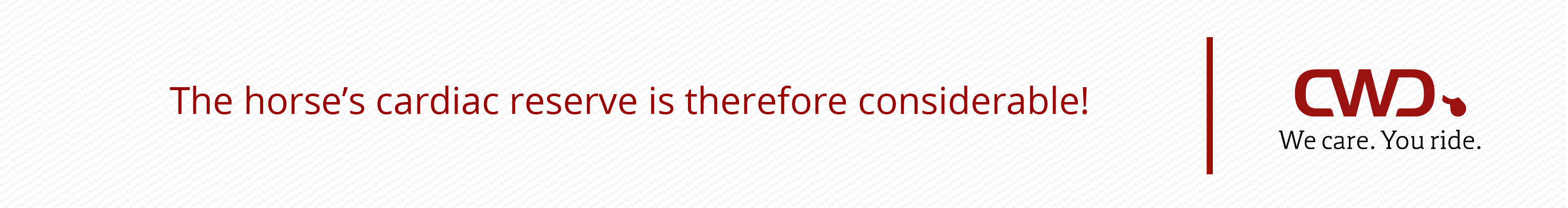 The horse’s cardiac reserve is therefore considerable!