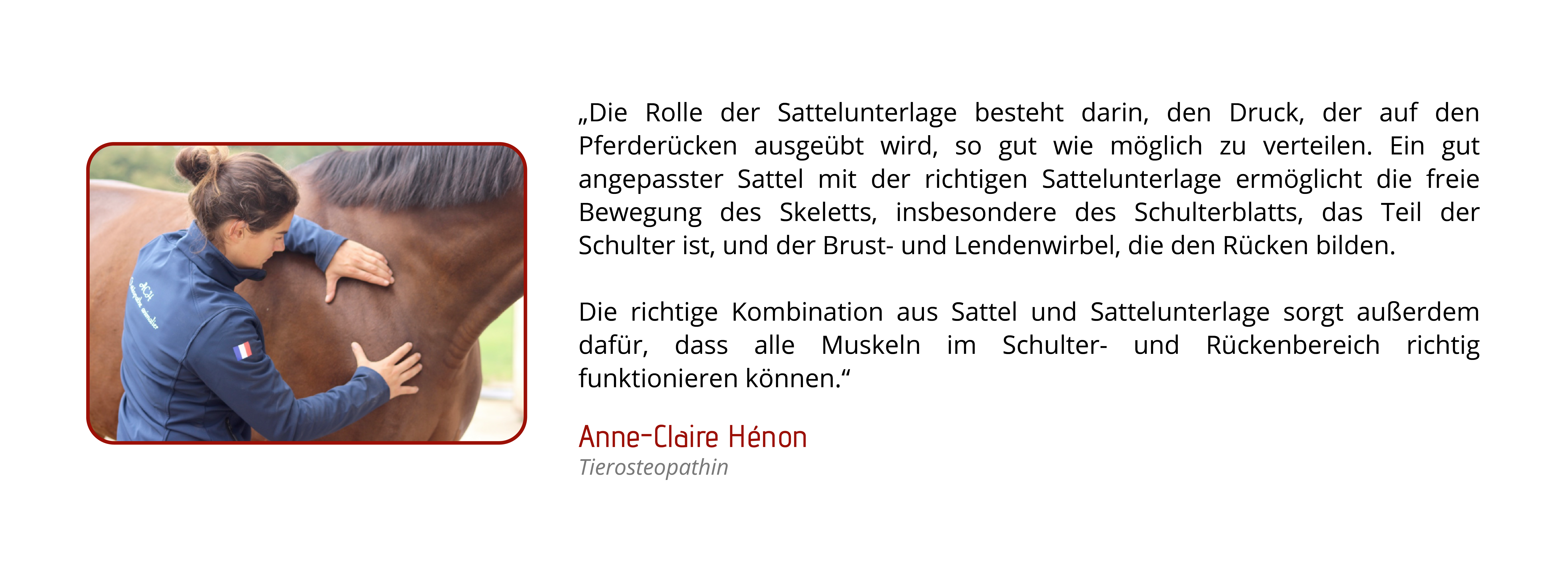 Die Rolle der Sattelunterlage besteht darin, den Druck, der auf den Pferderücken ausgeübt wird, so gut wie möglich zu verteilen. Ein gut angepasster Sattel mit der richtigen Sattelunterlage ermöglicht die freie Bewegung des Skeletts, insbesondere des Schulterblatts, das Teil der Schulter ist, und der Brust- und Lendenwirbel, die den Rücken bilden. Die richtige Kombination aus Sattel und Sattelunterlage sorgt außerdem dafür, dass alle Muskeln im Schulter- und Rückenbereich richtig funktionieren können.
