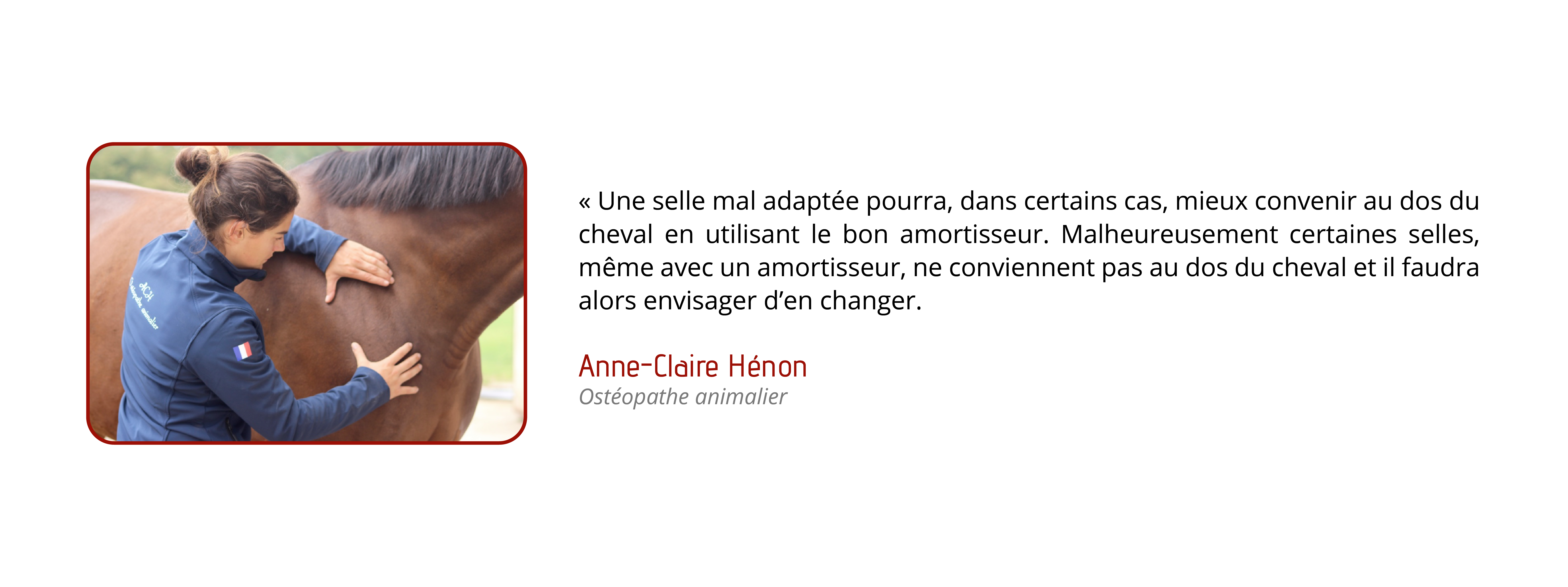 Une selle mal adaptée pourra, dans certains cas, mieux convenir au dos du cheval en utilisant le bon amortisseur. Malheureusement, certaines selles, même avec un amortisseur, ne conviennent pas au dos du cheval et il faudra alors envisager d’en changer.