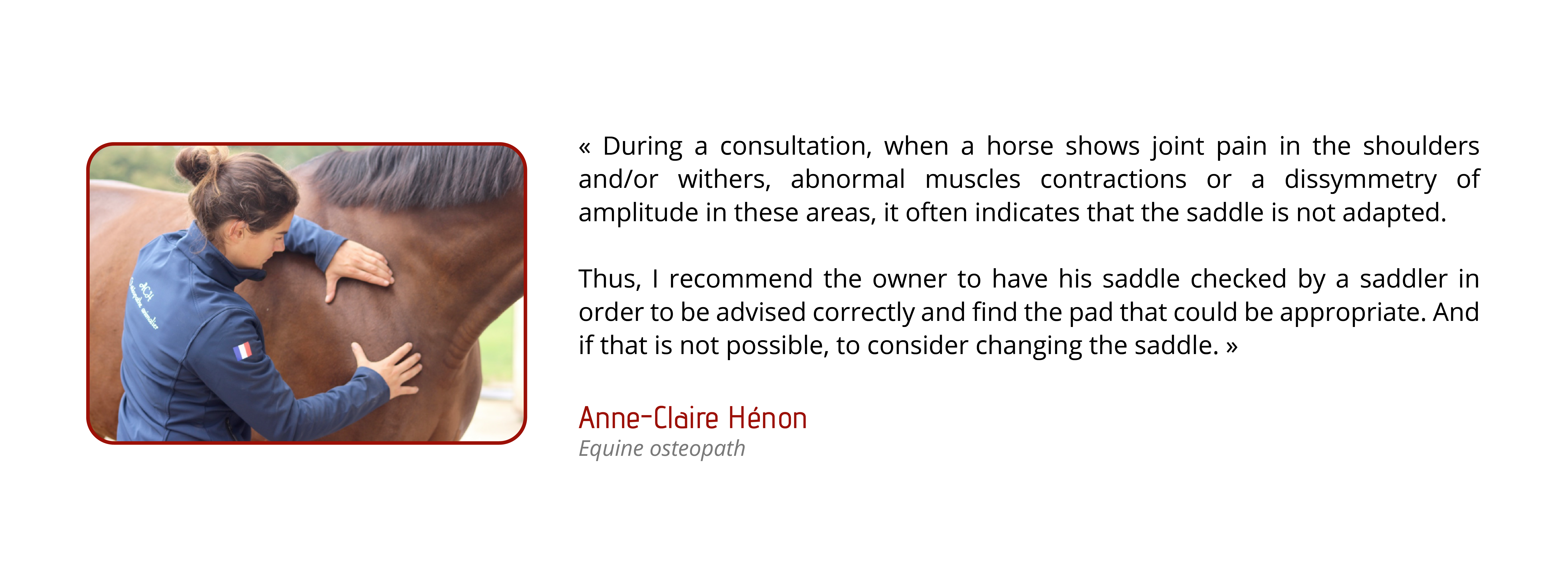 During a consultation, when a horse shows joint troubles in the shoulders and/or the withers, abnormal muscles contractions in these areas, a dissymmetry of amplitude, or muscular amyotrophy, it often indicates that the saddle is not adapted. Thus, I recommend the owner to have his saddle check by a saddler in order to be advised as well as possible to find the pad that could be appropriate, and if that is not possible, to consider changing the saddle.