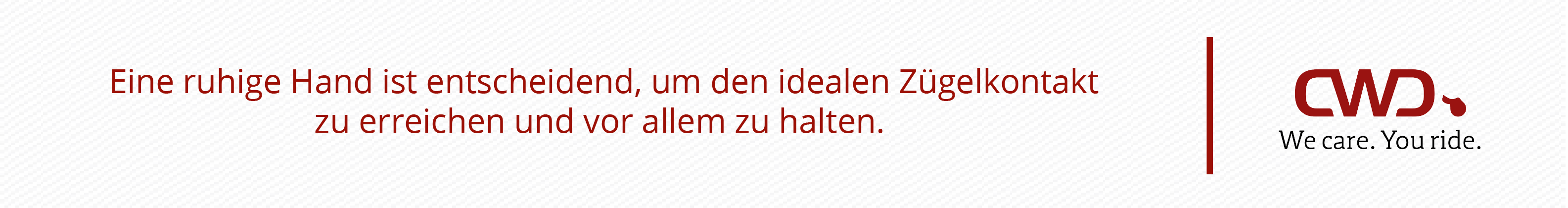 Eine ruhige Hand ist entscheidend, um den idealen Zügelkontakt zu erreichen und vor allem zu halten.