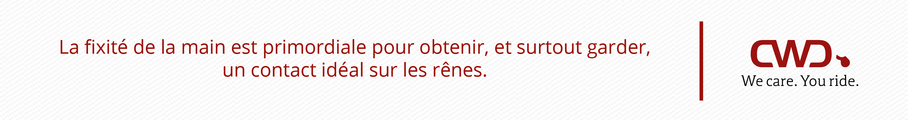 La fixité de la main est primordiale pour obtenir, et surtout garder, un contact idéal sur les rênes.