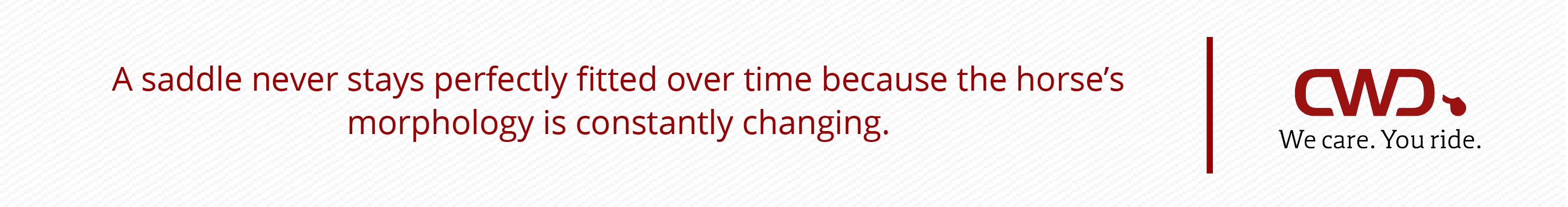 A saddle never stays perfectly fitted over time because the horse’s morphology is constantly changing.