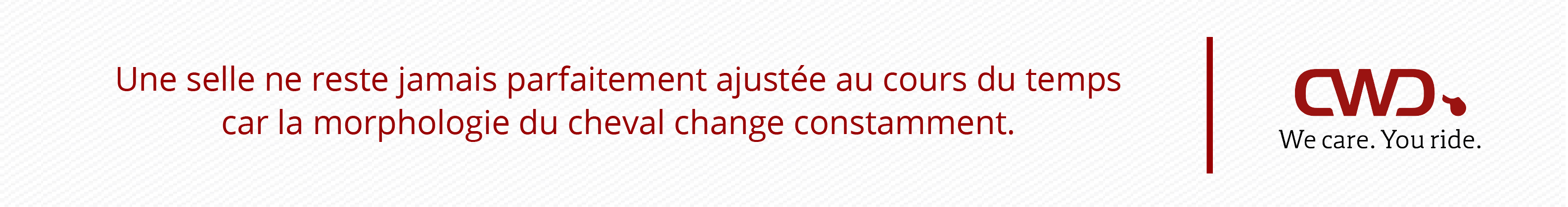 Une selle ne reste jamais parfaitement ajustée au cours du temps, car la morphologie du cheval change constamment.