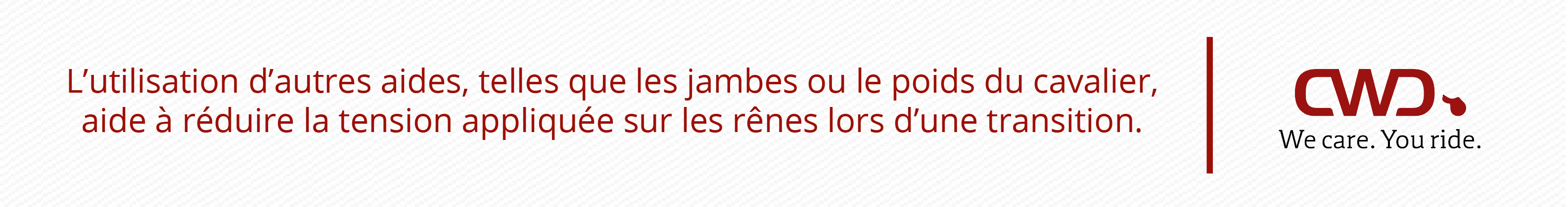 L'utilisation d'autres aides, telles que les jambes ou le poids du cavalier, aide à réduire la tension appliquée sur les rênes lors d'une transition.