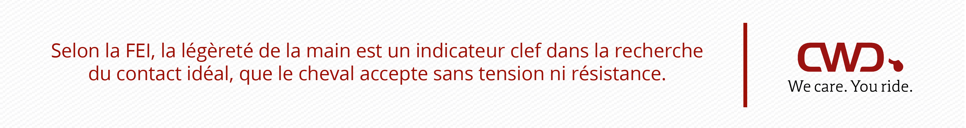 Selon la FEI, la légèreté de la main est un indicateur clef dans la recherche du contact idéal, que le cheval accepte sans tension ni résistance.