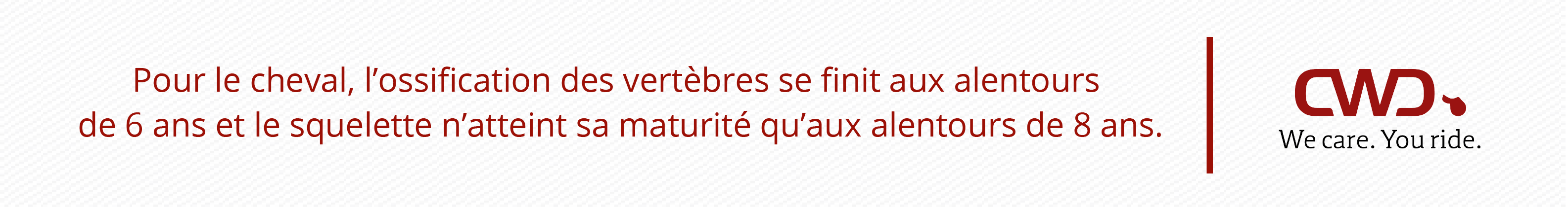 Pour le cheval, l'ossification des vertèbres se finit aux alentours de 6 ans, et le squelette n'atteint sa maturité qu'aux alentours de 8 ans.