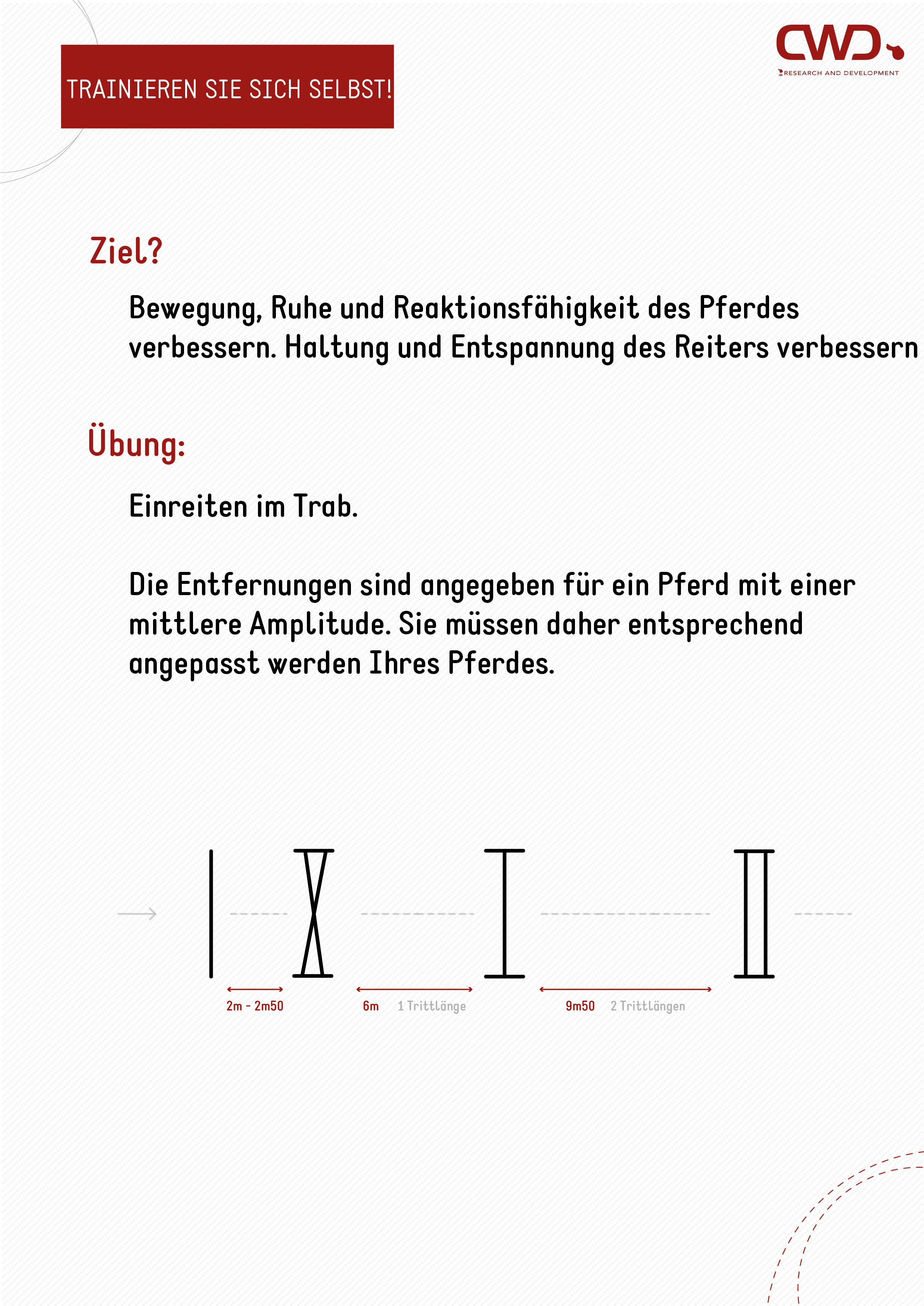 Übung Hindernislinie zur Gymnastizierung für das Pferd.