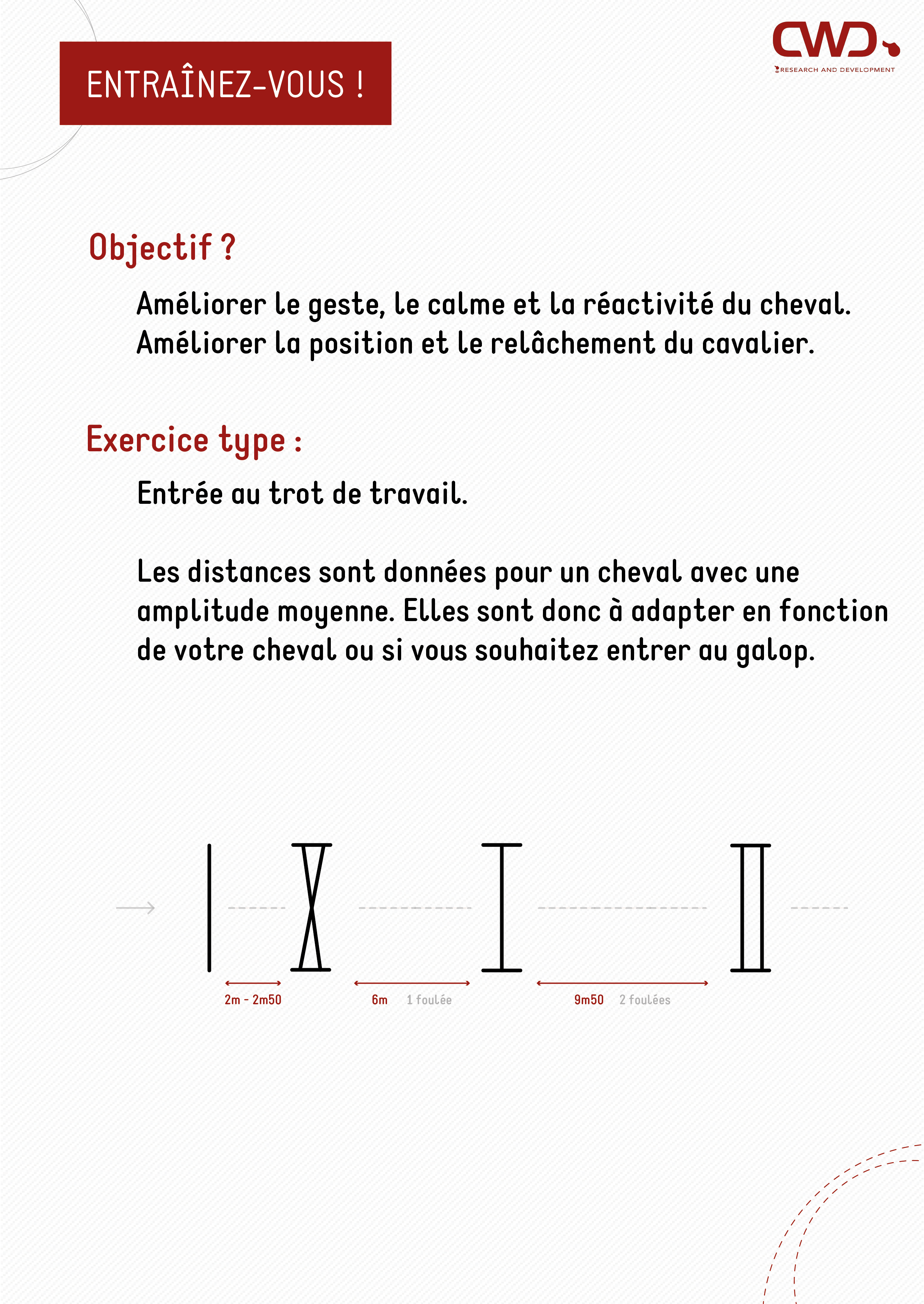 Exercice ligne d'obstacles de mécanisation pour le cheval.