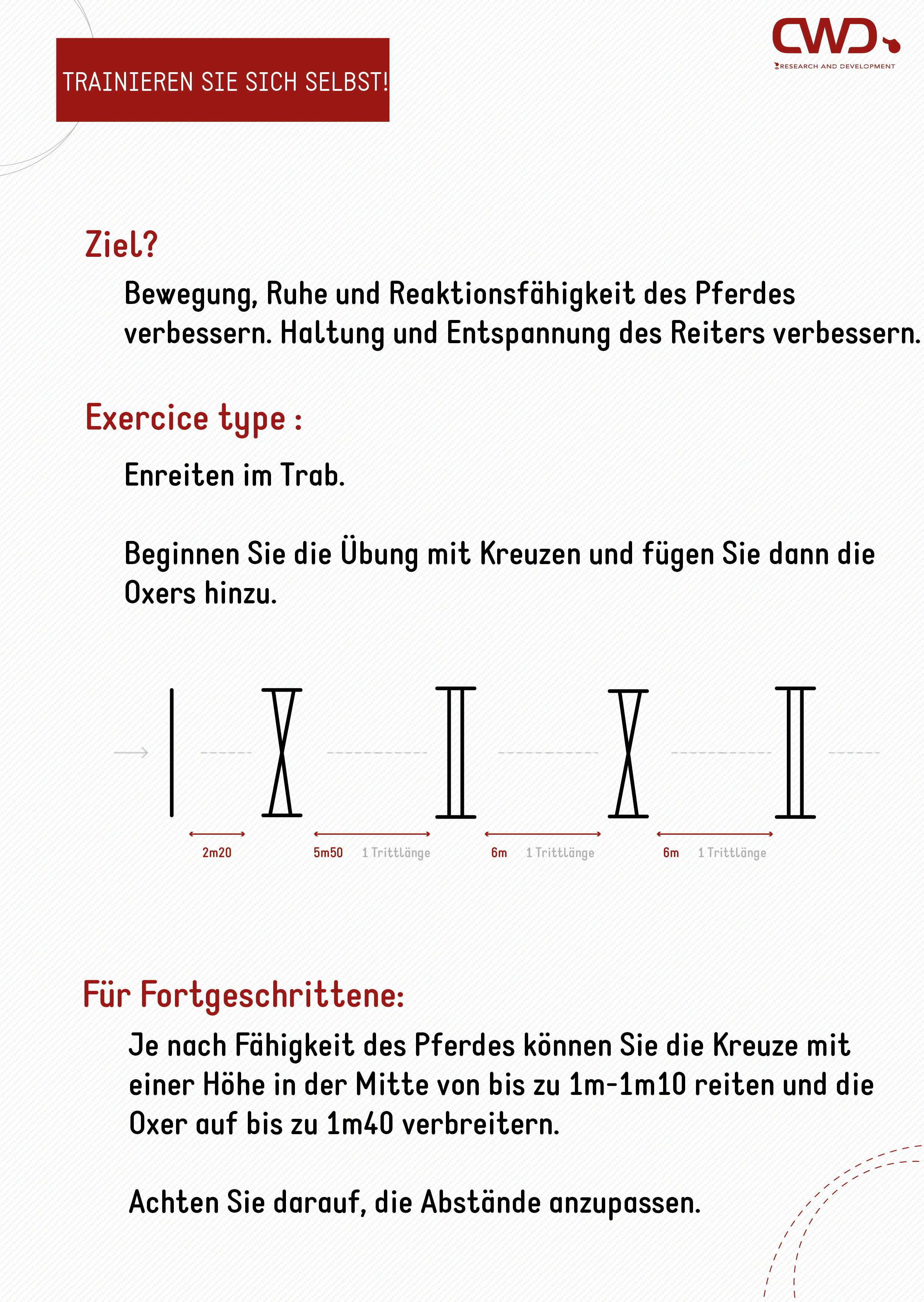 Linienübung Bardinet Gymnastizierung am Sprung für das Pferd.