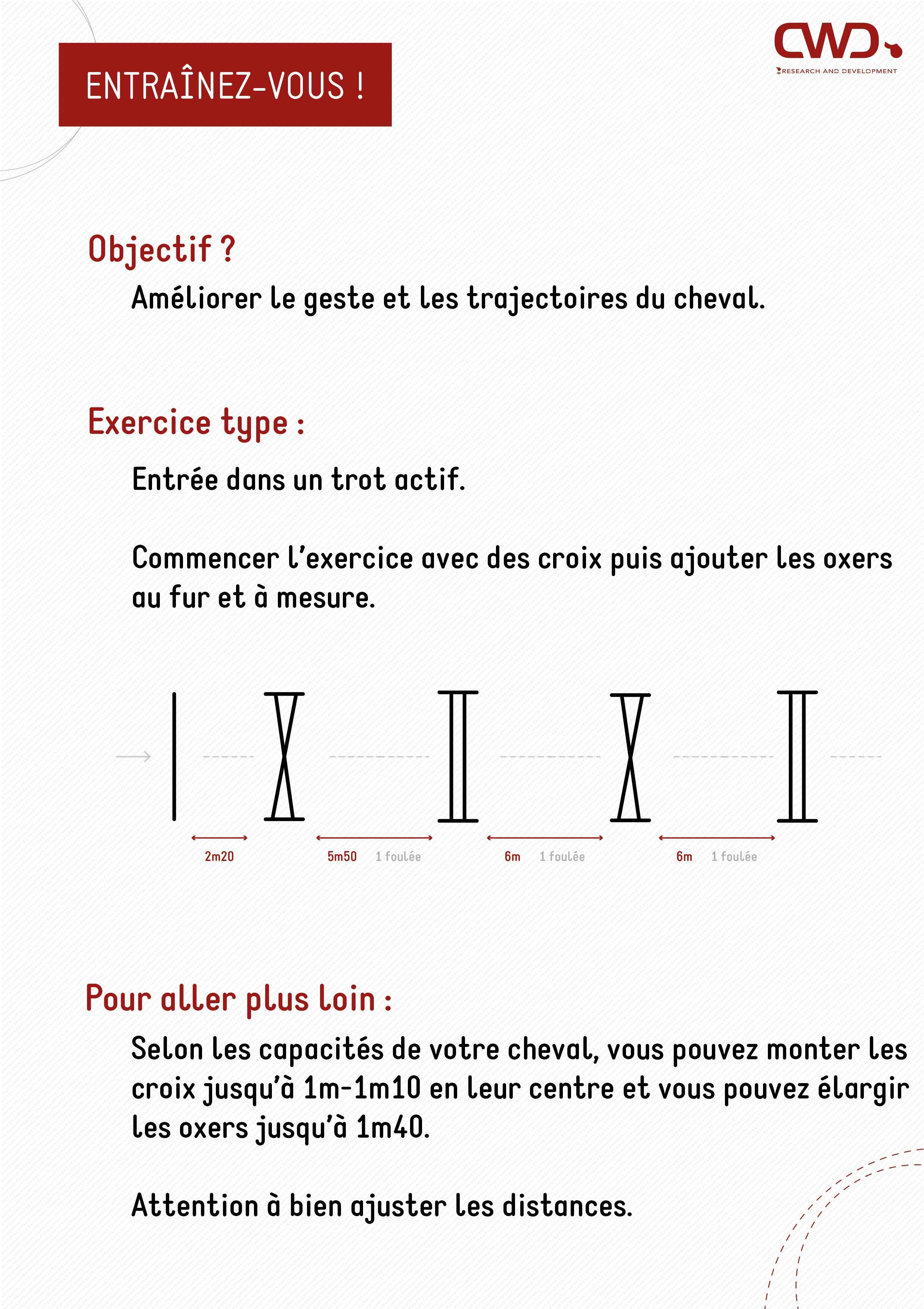 Exercice ligne Bardinet de mécanisation à l'obstacle pour le cheval.