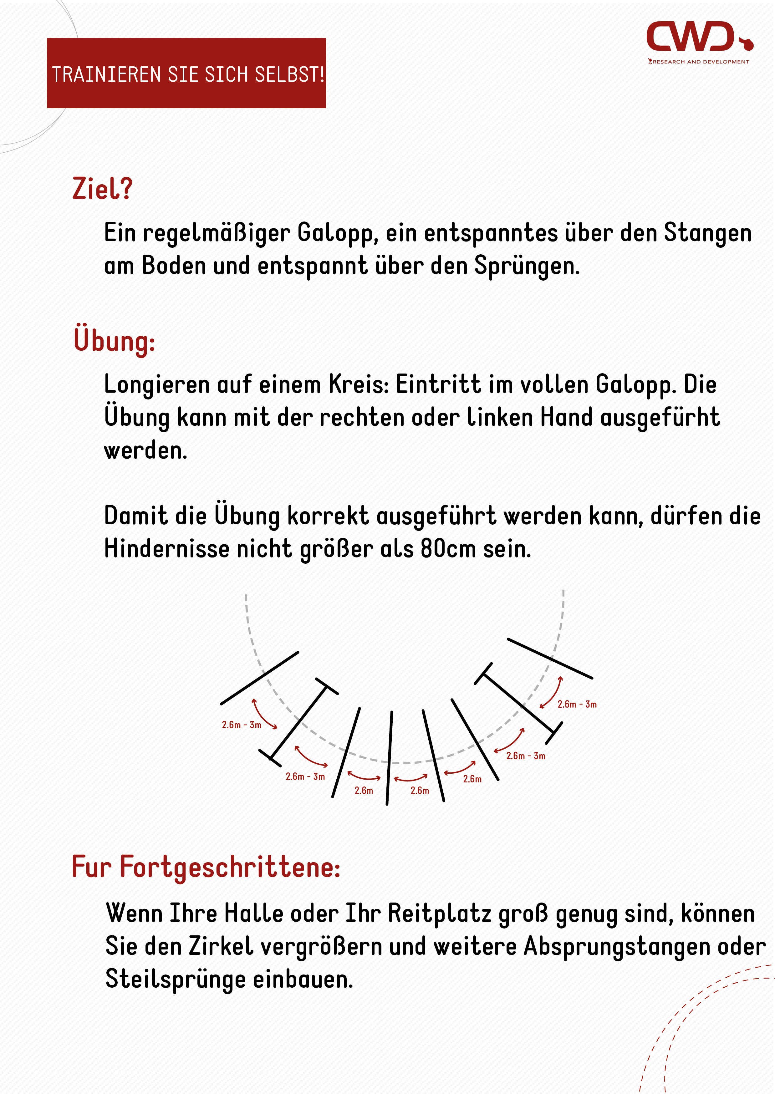 Gymnastizierung übung für Pferde, die an der Longe durchgeführt wird.