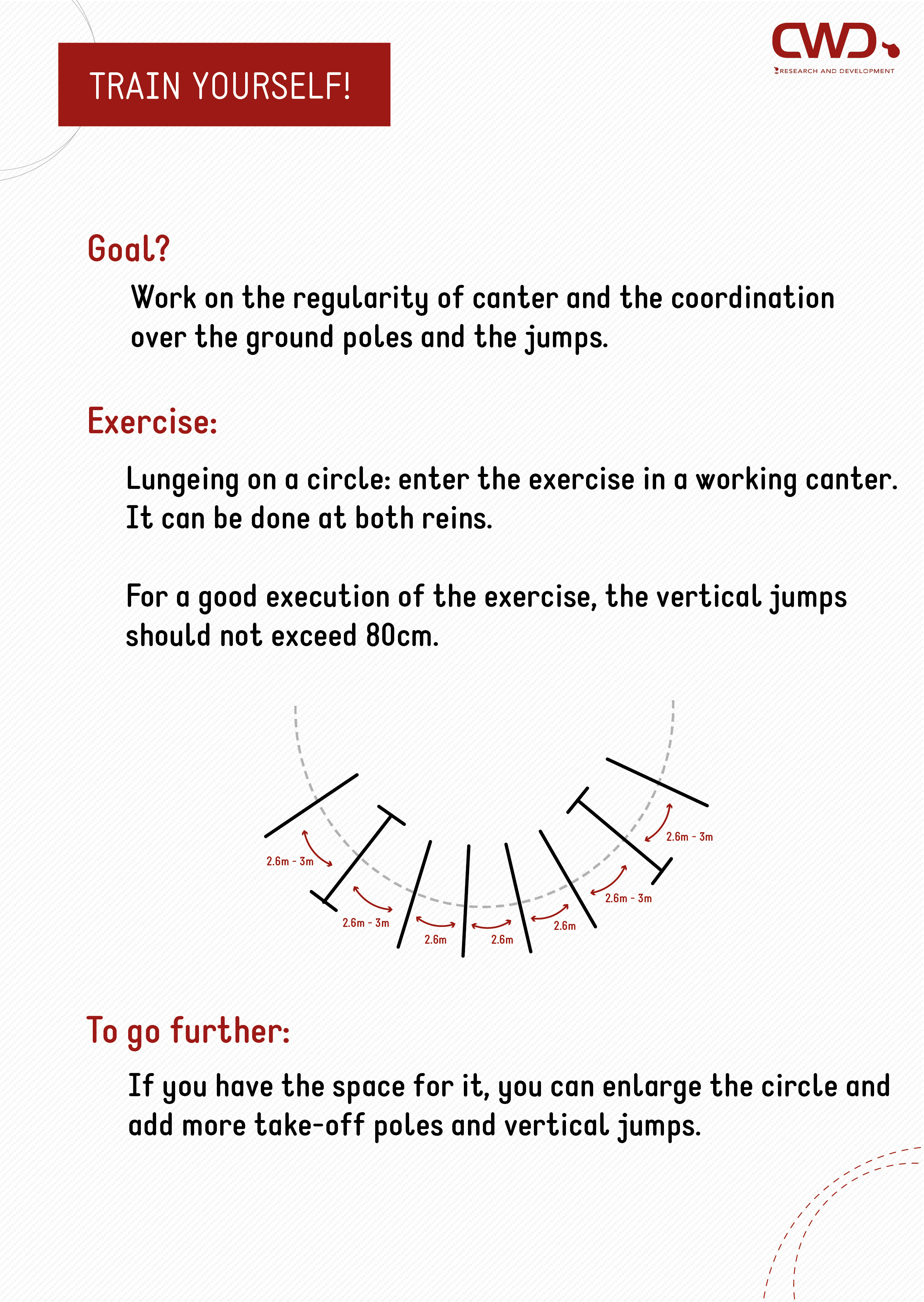 Gymnastics exercise for horses to be done while lunging.