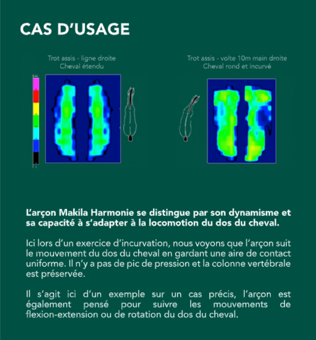 Test biomécanique de la selle Makila Harmonie