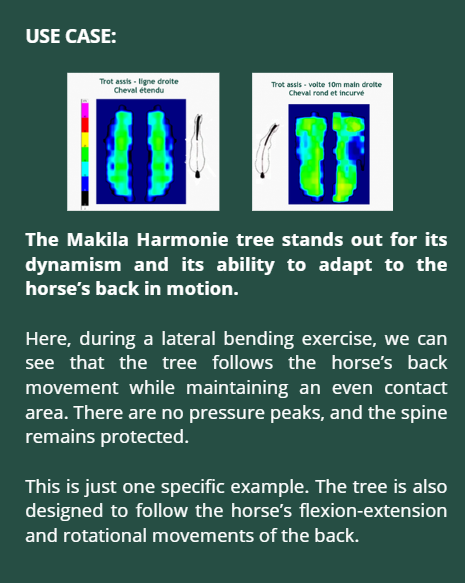 Biomechanical testing of the Makila Harmonie dressage saddle