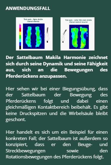 Biomechanischer Test des Makila Harmonie Dressursattels