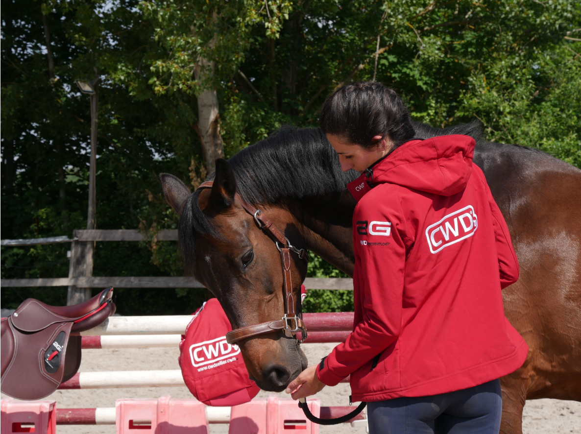 Exercices d’assouplissements pour les chevaux