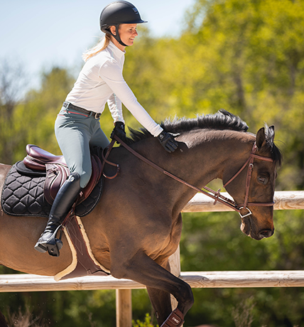 Les rênes : quels effets sur votre cheval ?