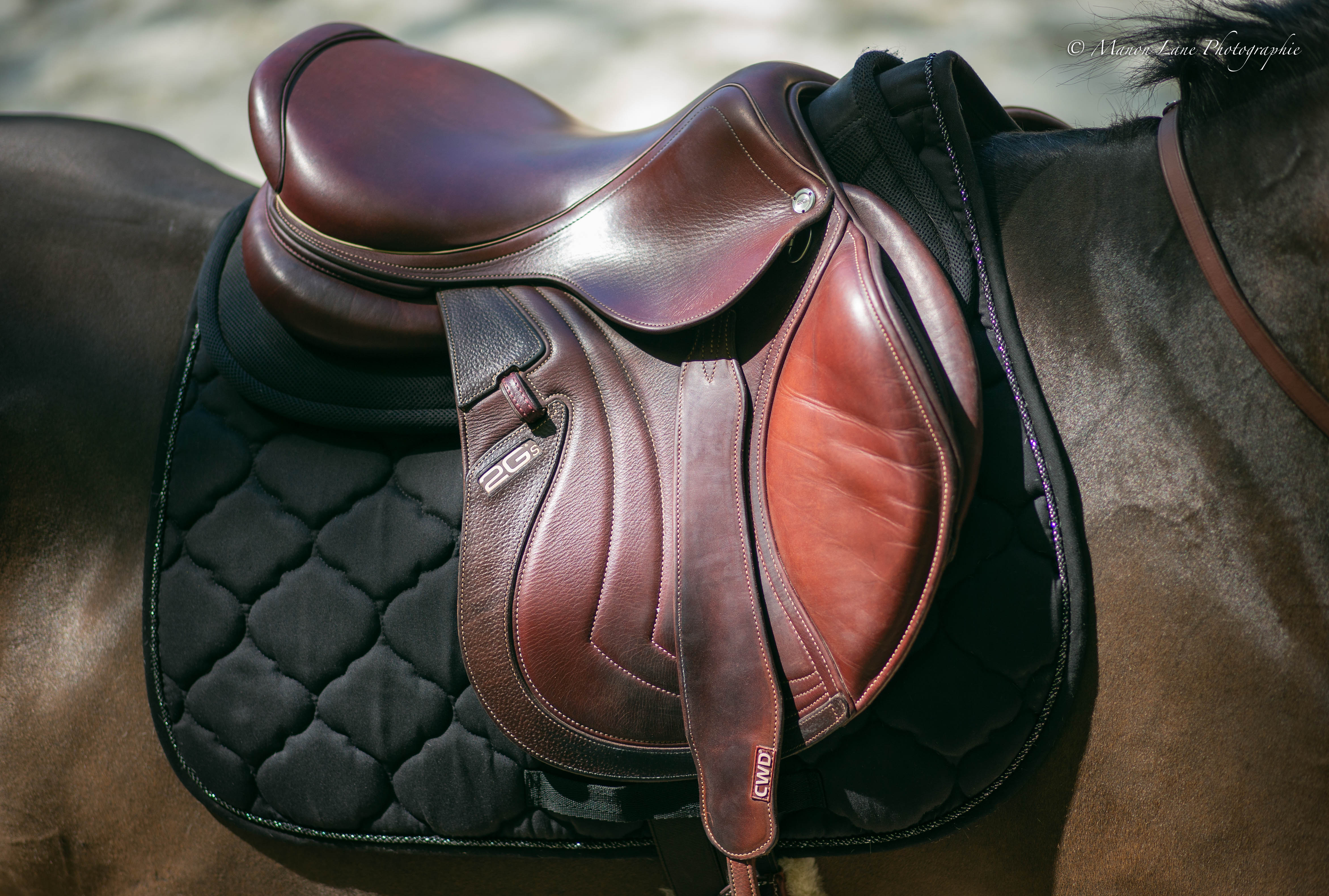 CWD saddle models