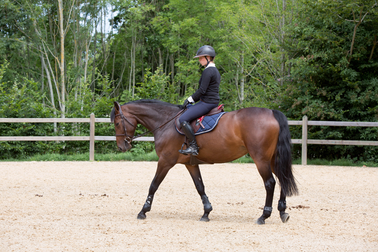 Pourquoi mesurer la fréquence cardiaque de son cheval ?